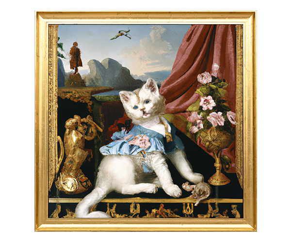 Claws & Paws 1